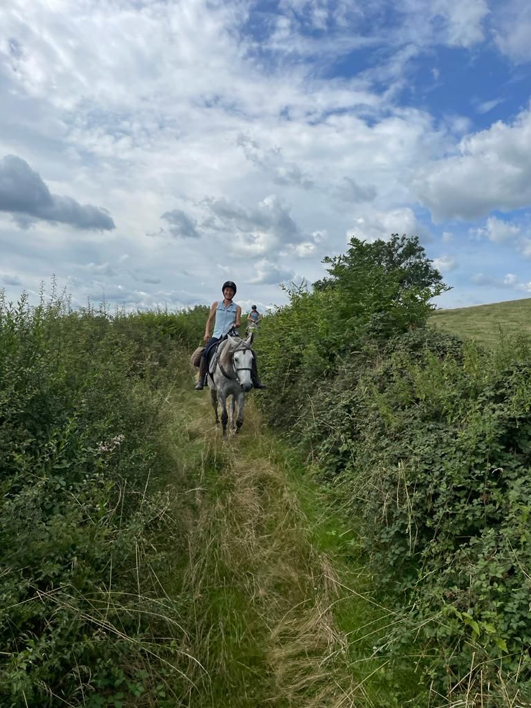 Randonnée à cheval dans la campagne et le terroir de Bourgogne