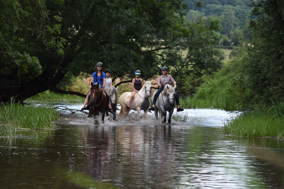 Camp équestre pour ado avec randonnée à cheval en Bourgogne