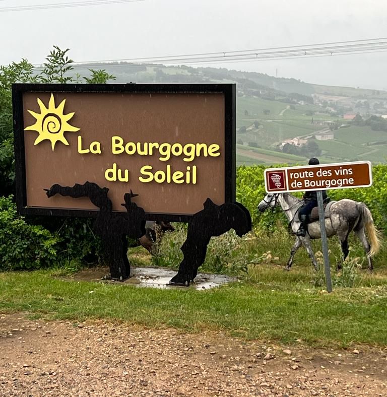 Balade à cheval au coeur du vignoble de Bourgogne